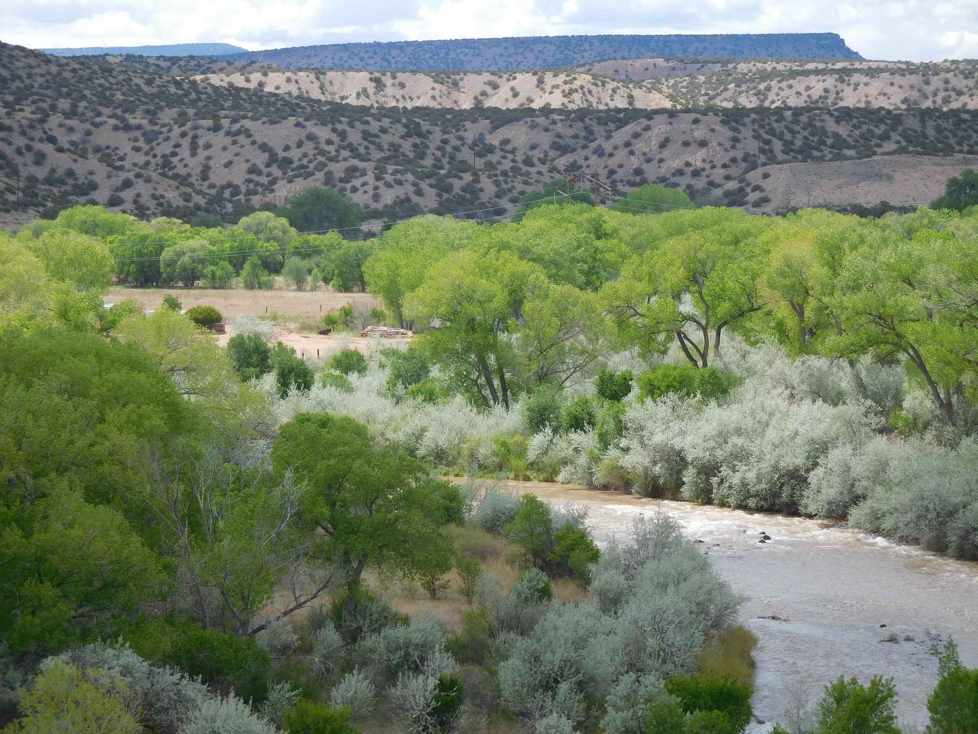 Rio Chama Riverfront Property Walker & Martin Ranch Sales