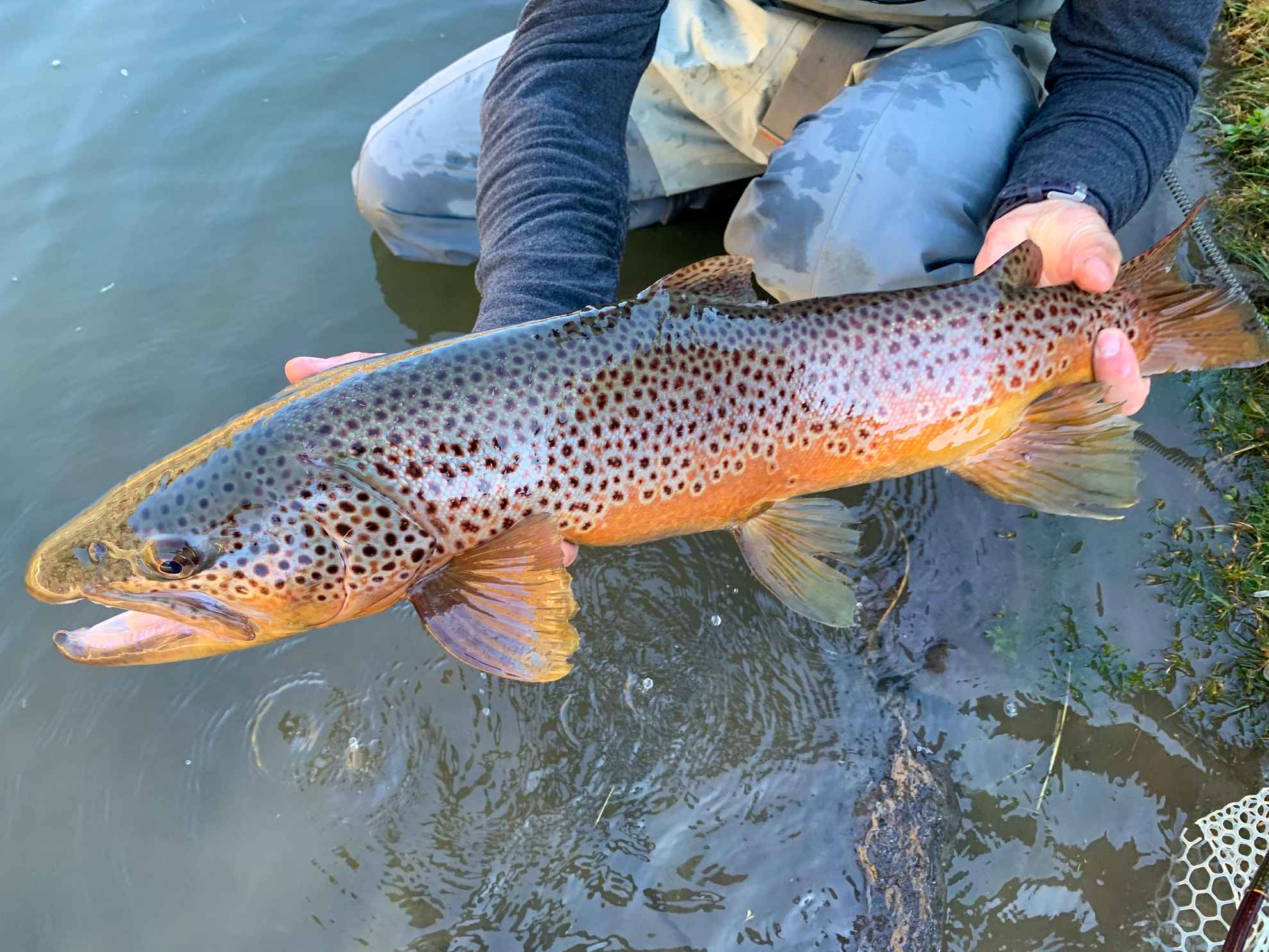 Rio Grande del Norte Walker & Martin Ranch Sales